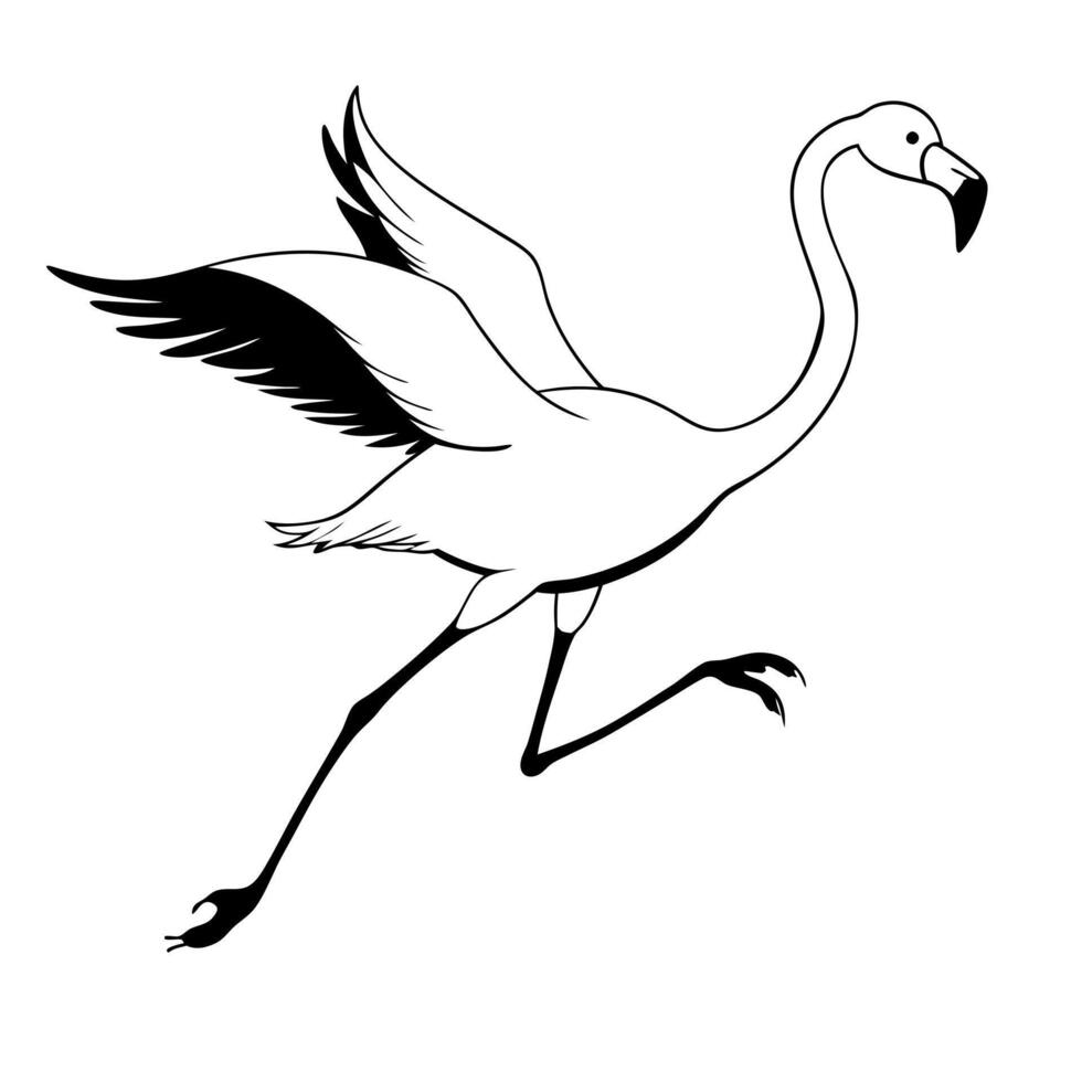 a flamingo is jamping, illustration line art vector