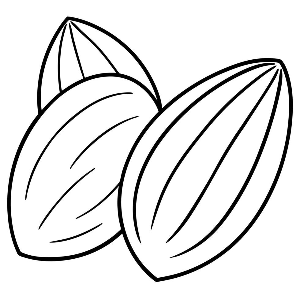 almendras, illustration line art vector