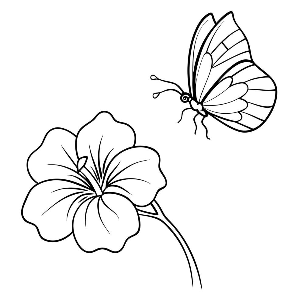 a butterfly is extracting nectar from a nasturtium flower, illustration line art vector