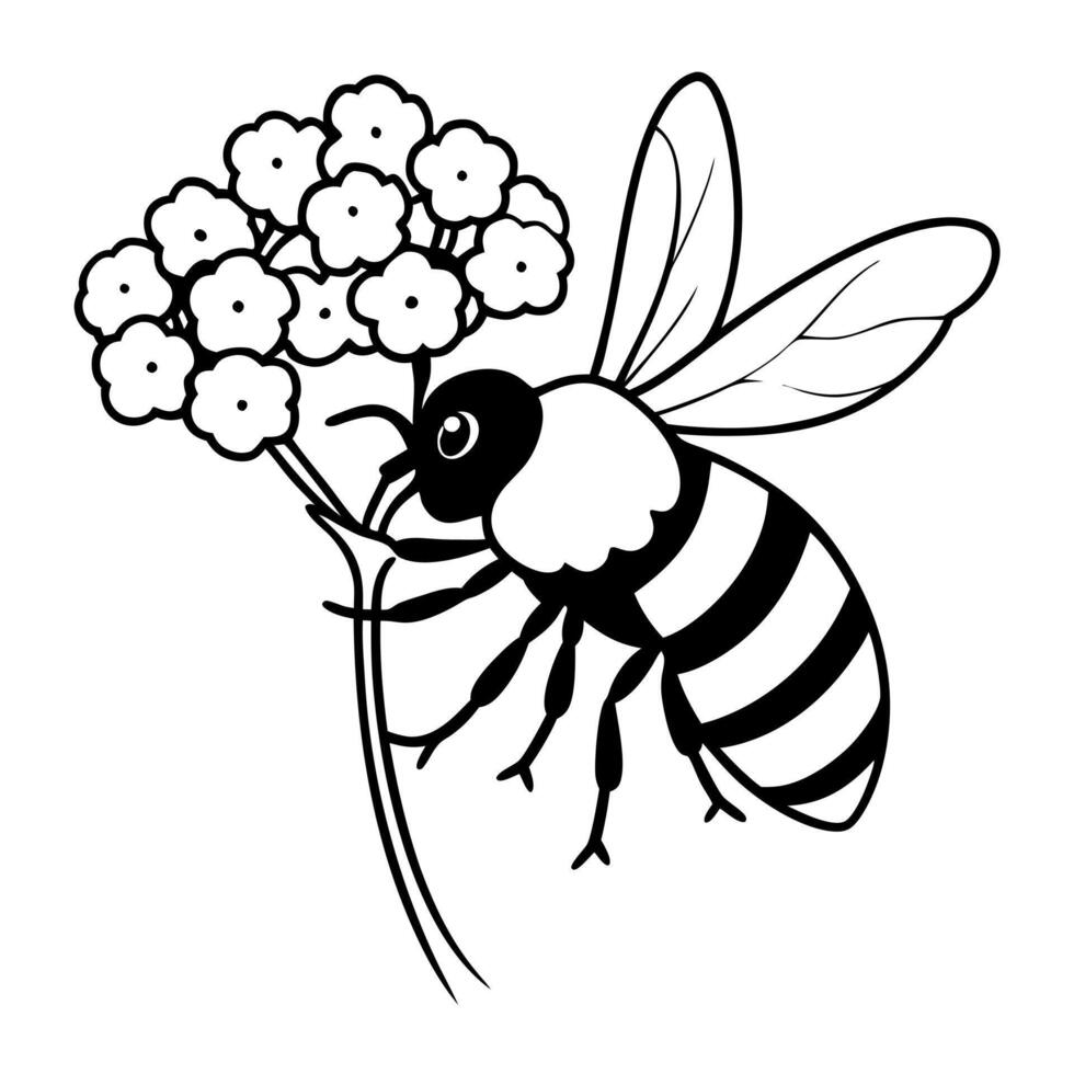 a bee is extracting honey from a yarrow flower, illustration line art vector