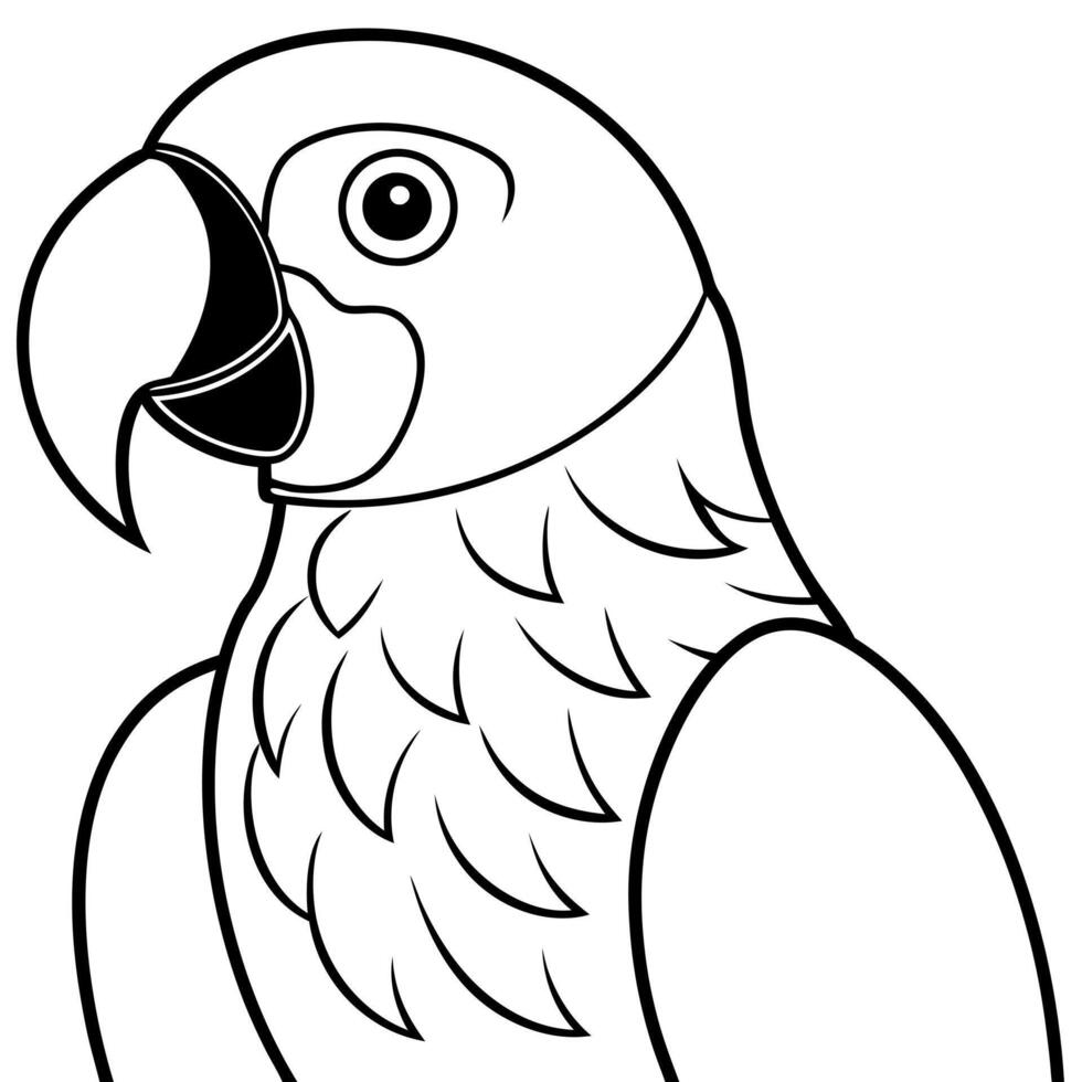 parrot, illustration line art vector