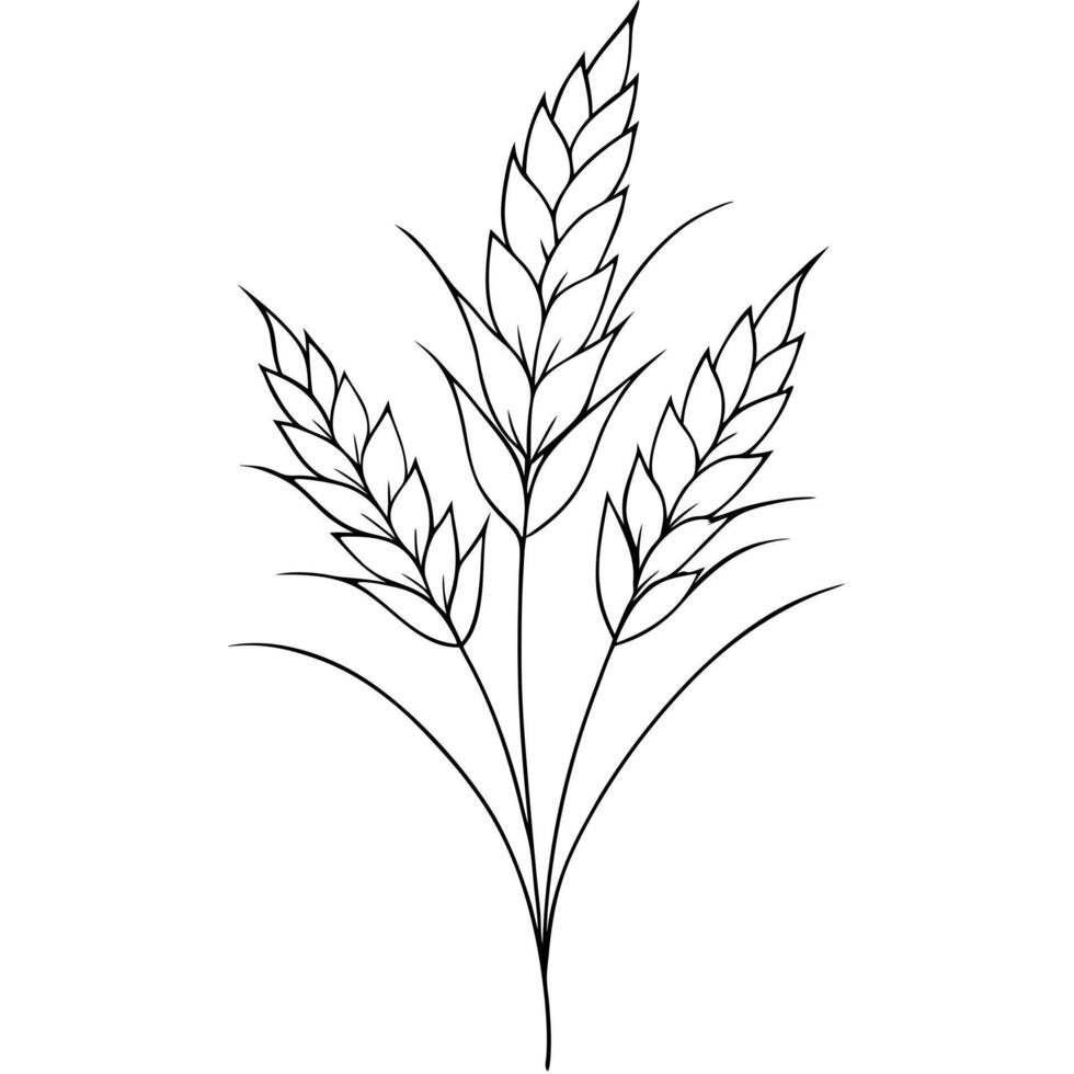 grains, illustration line art vector