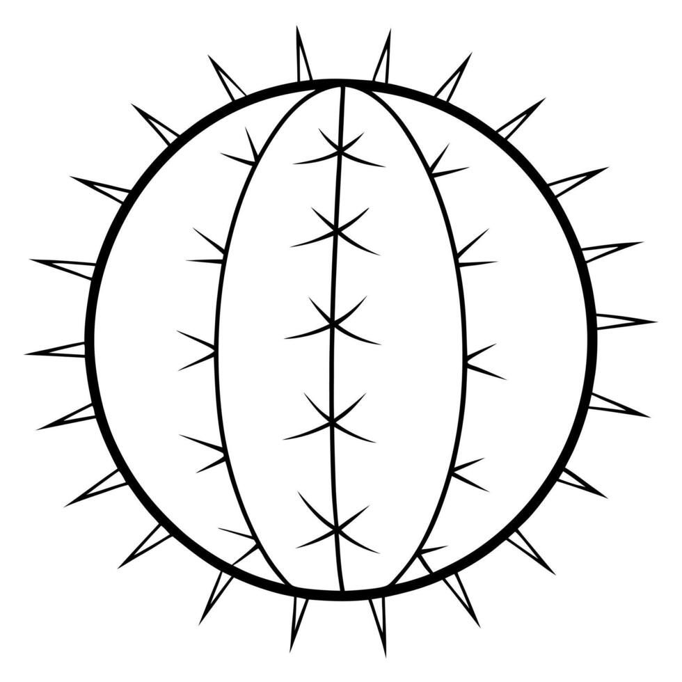 round cactus with tiny spikes outline, illustration line art vector