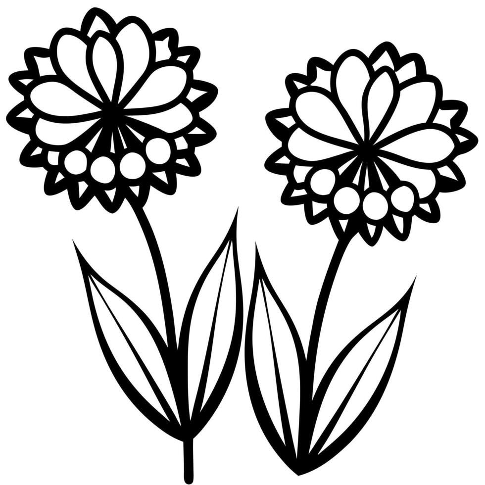 two ornamental onion flower together, illustration line art vector