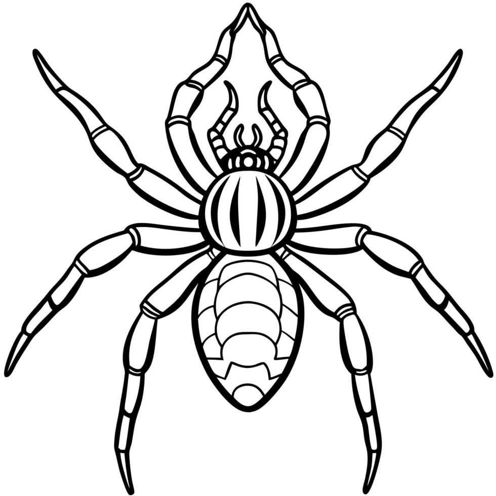a close up of a spider isolated on a transparent background , illustration line art vector