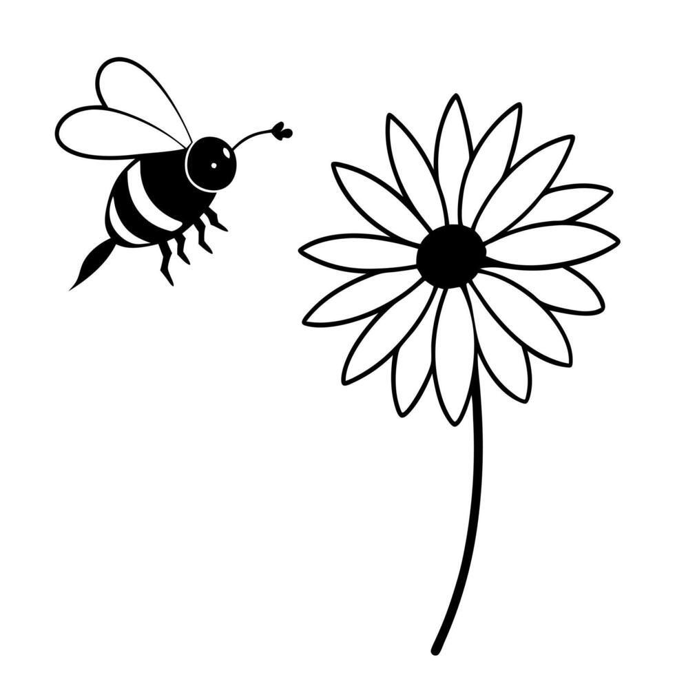 a bee is extracting honey from a rudbeckia flower, illustration line art vector