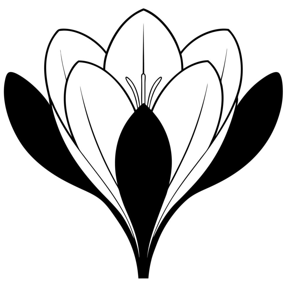 a crocus with two leaves, illustration line art vector