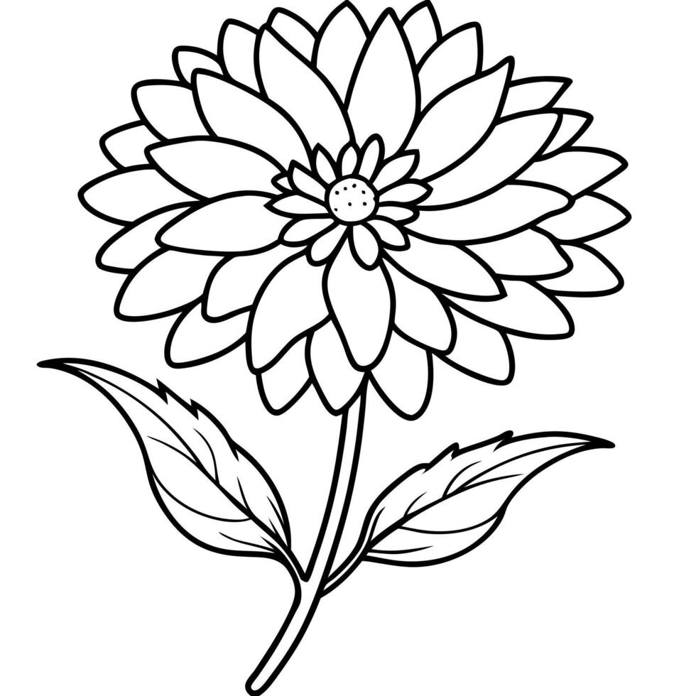aster flowers, illustration line art vector