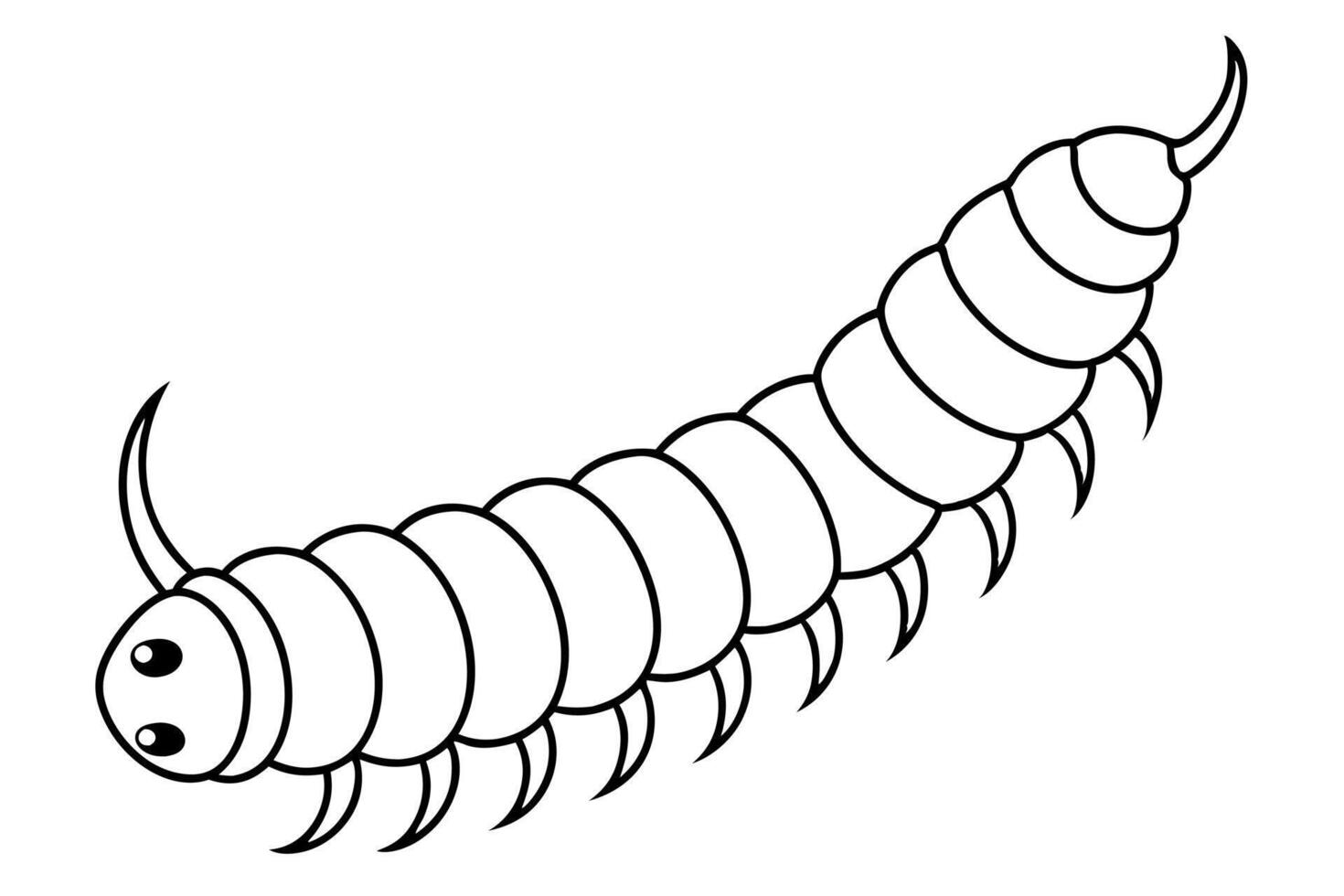 a millipede linar on white background, illustration line art vector