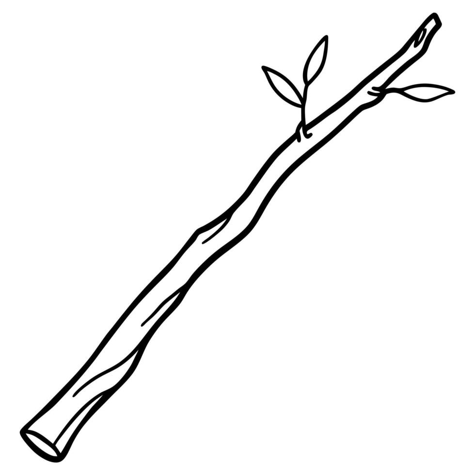 a wooden stick with a branch, illustration line art vector