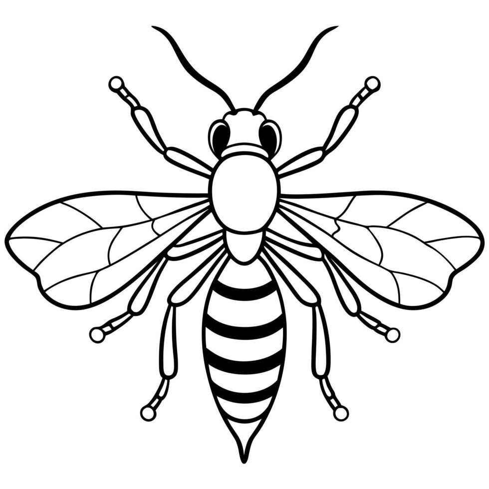 wasp line art on white background, illustration line art vector