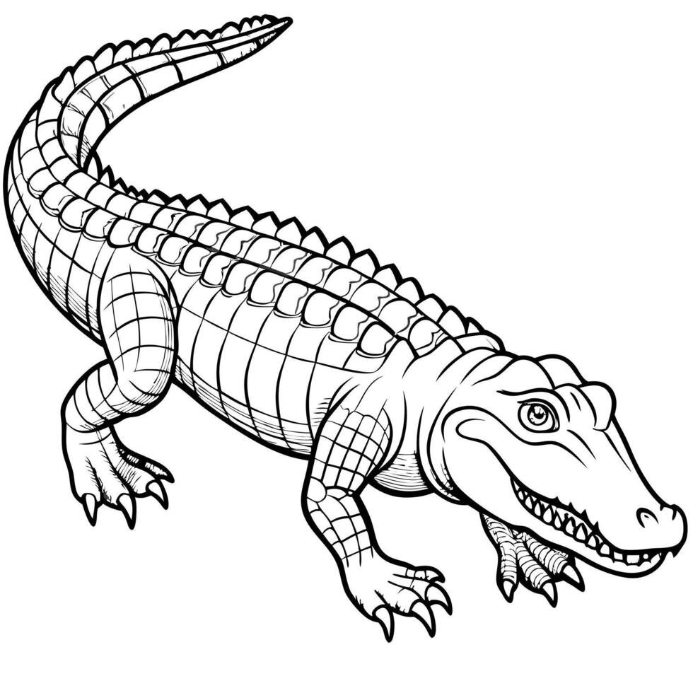 a crocodile , full view , illustration line art vector