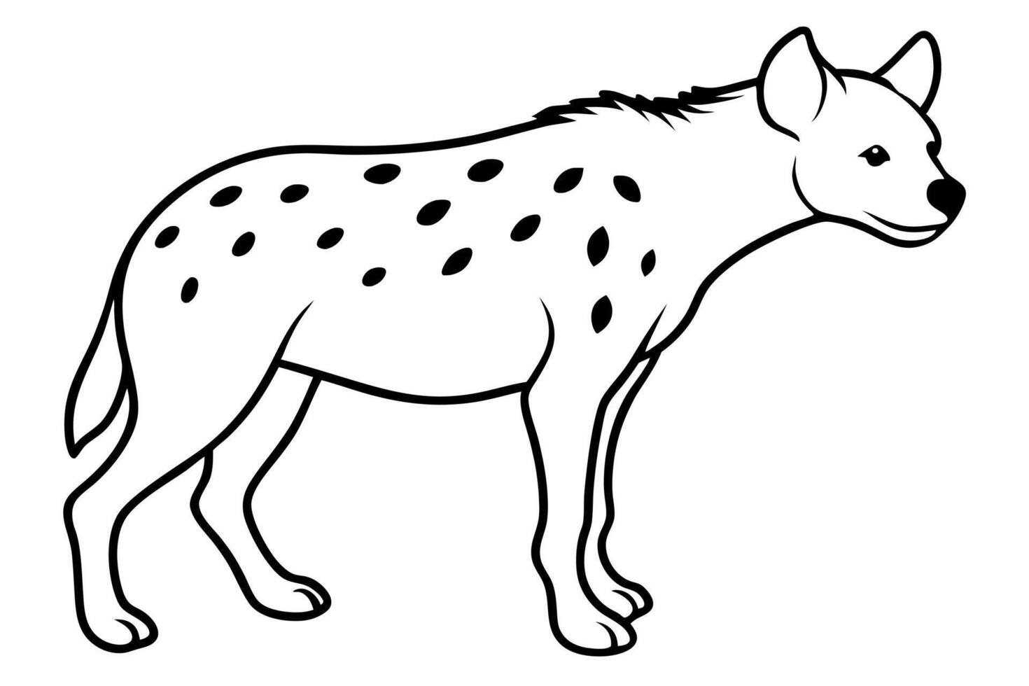 wild spotted hyena on a isolated white background, illustration line art vector