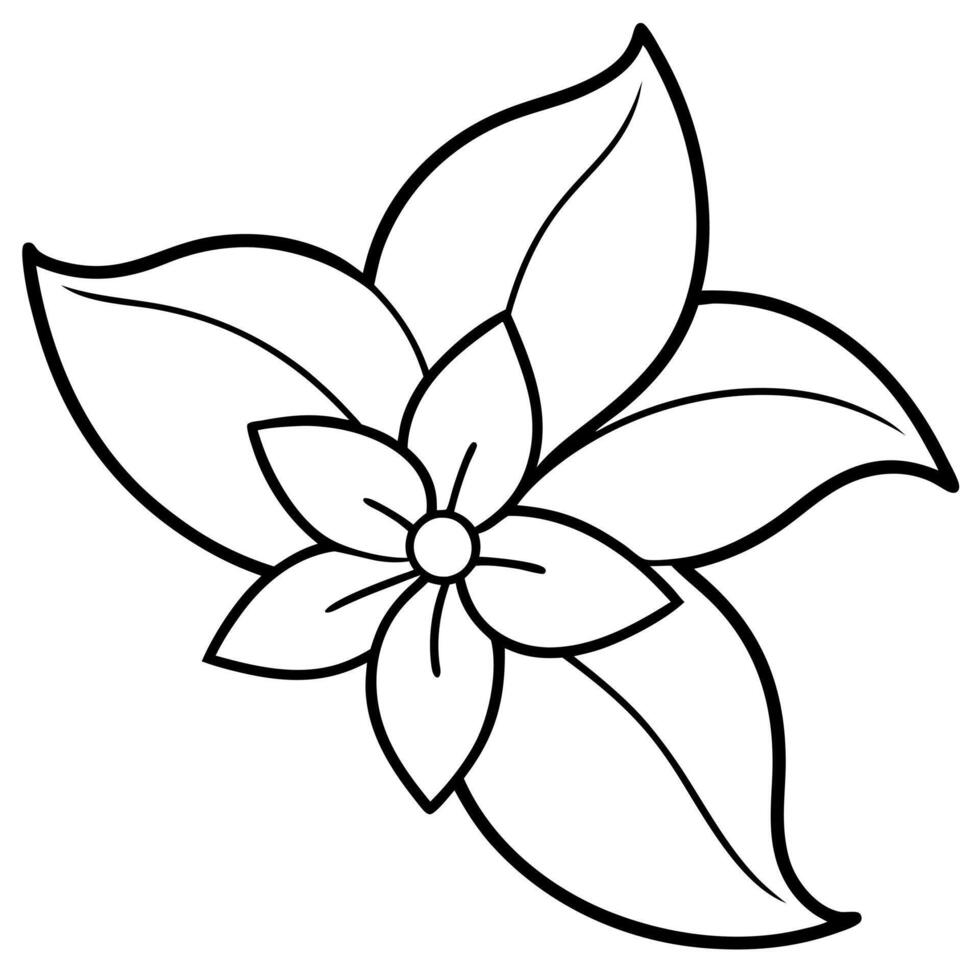 jasmine flower, illustration line art vector
