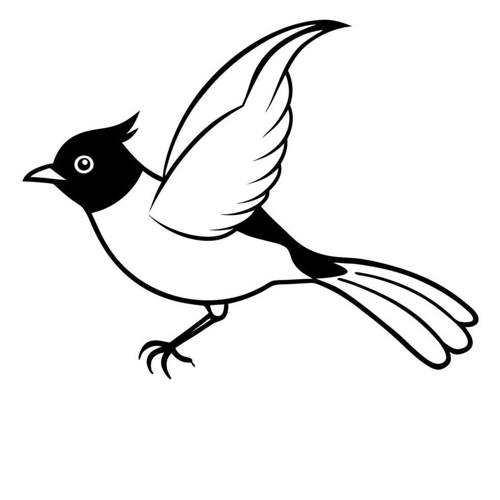 a bulbul is jamping, illustration line art vector