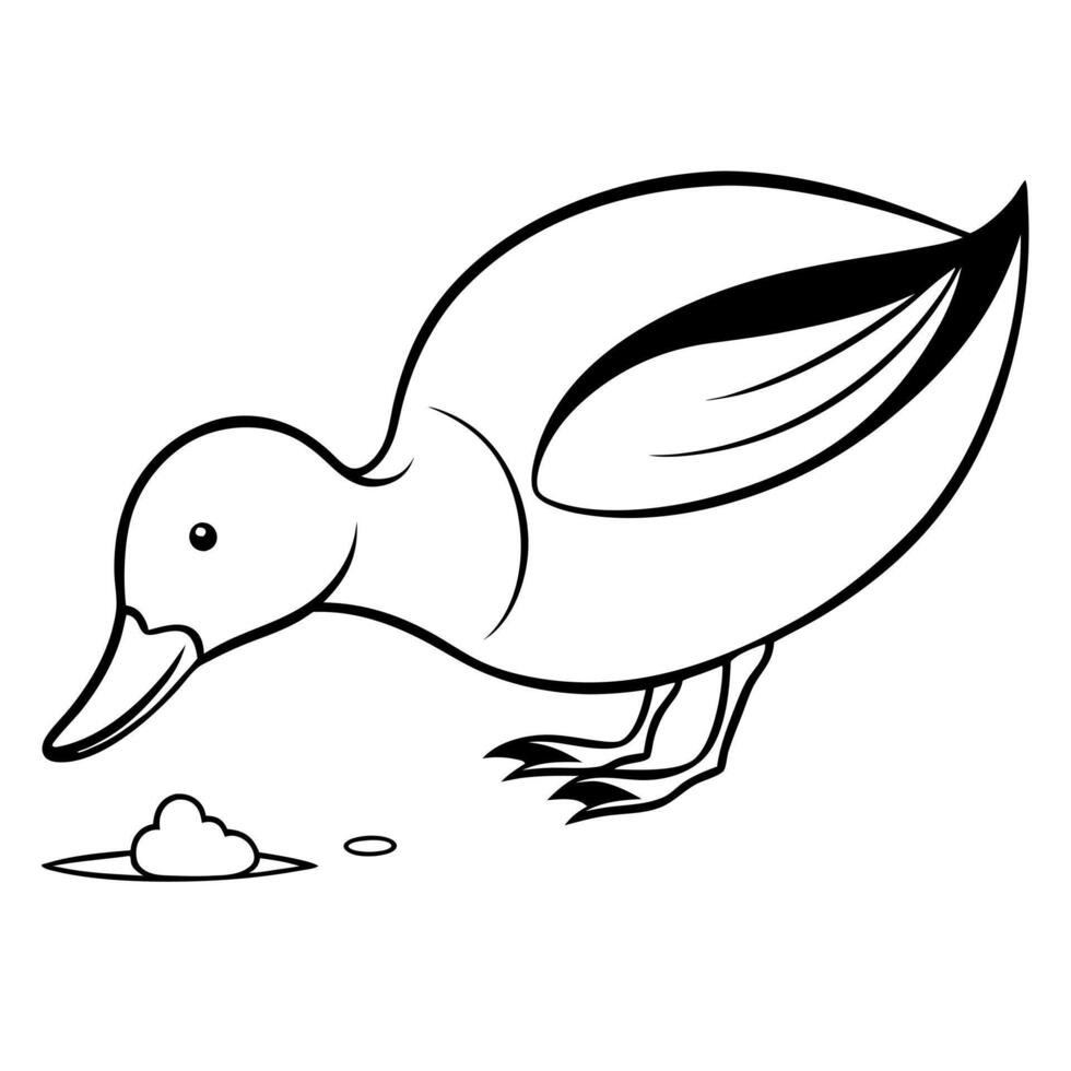 a shoveler bird is eating its food, illustration line art vector