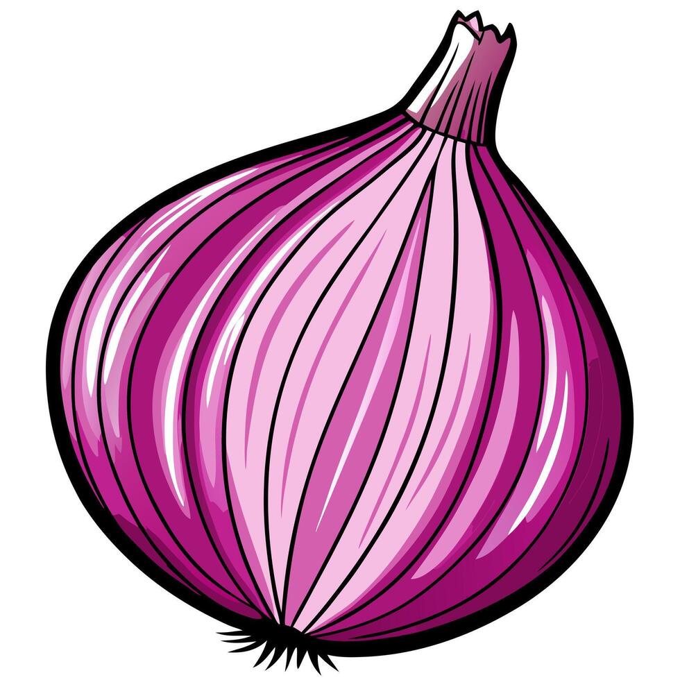 a detailed illustration of shallots on a bright white background showcase their small, vector