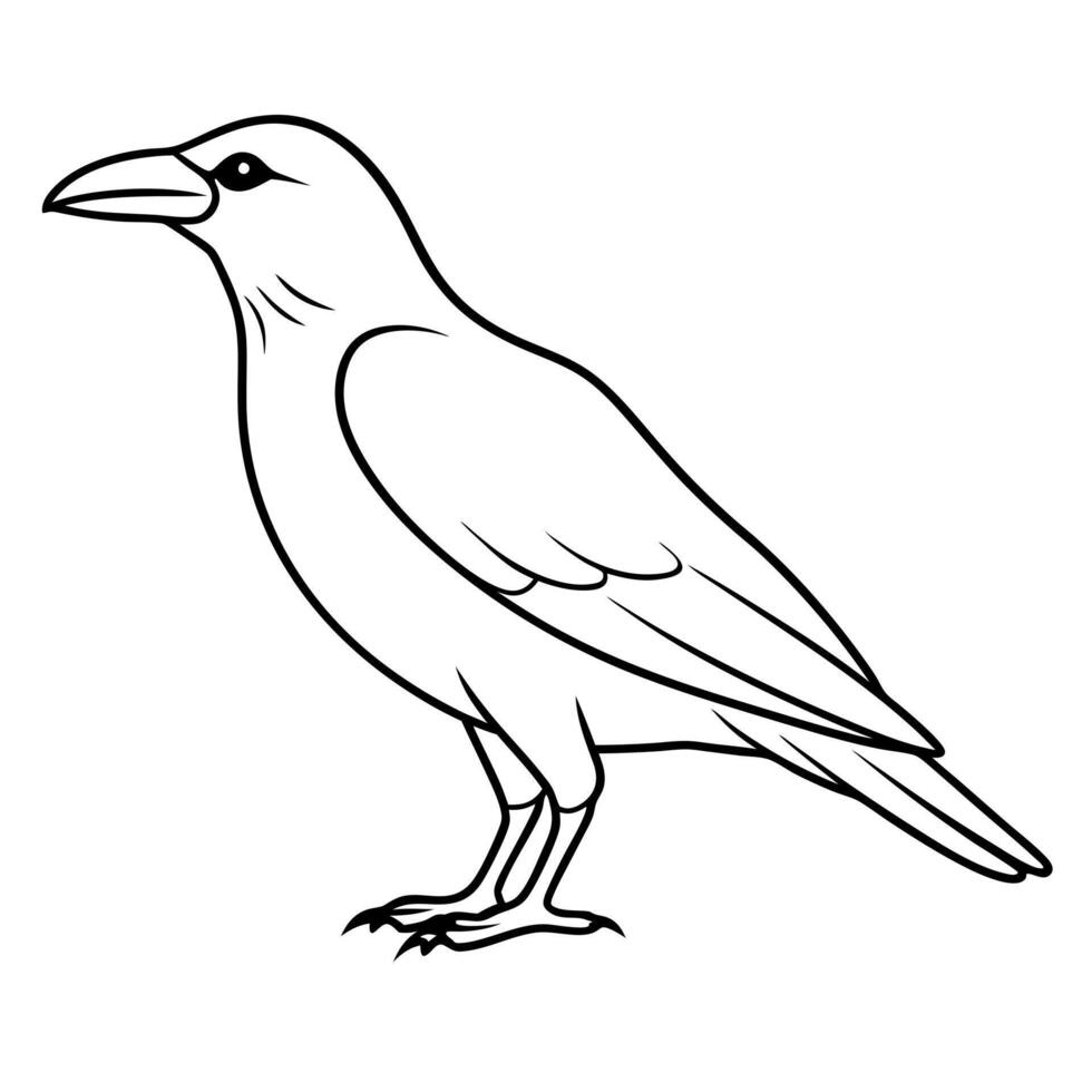 black crow standing, illustration line art vector