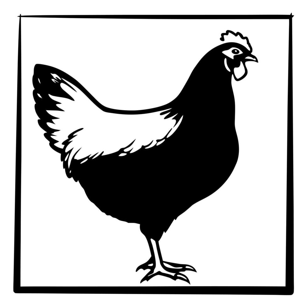 chicken leg, illustration line art vector