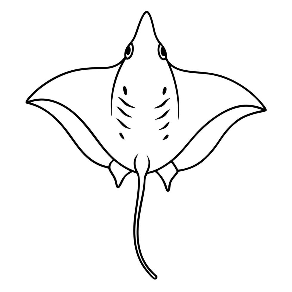 stingray, illustration line art vector