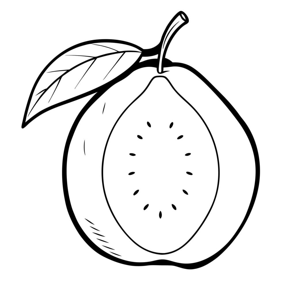 guava, illustration line art vector