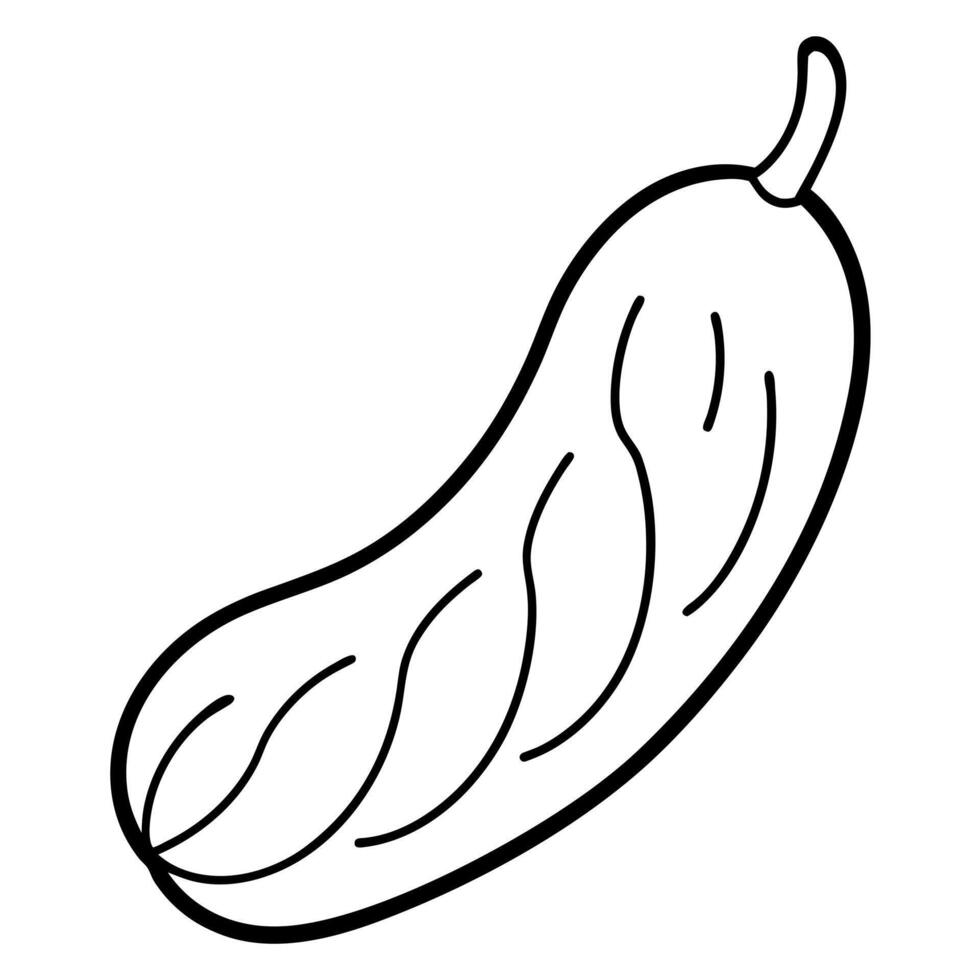 tamarind candy, illustration line art vector
