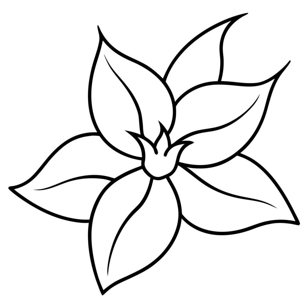 jasmine flower, illustration line art vector