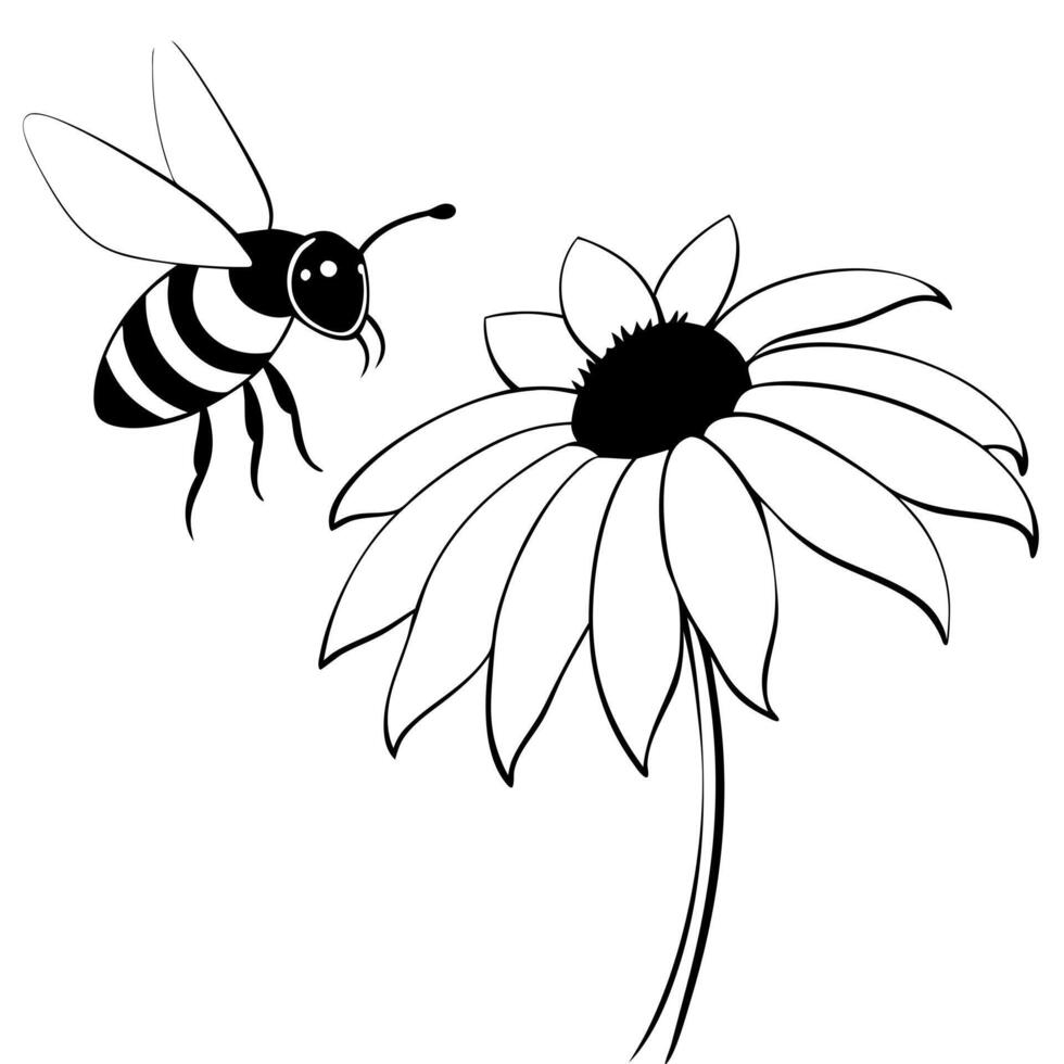 a bee is extracting honey from a rudbeckia flower, illustration line art vector