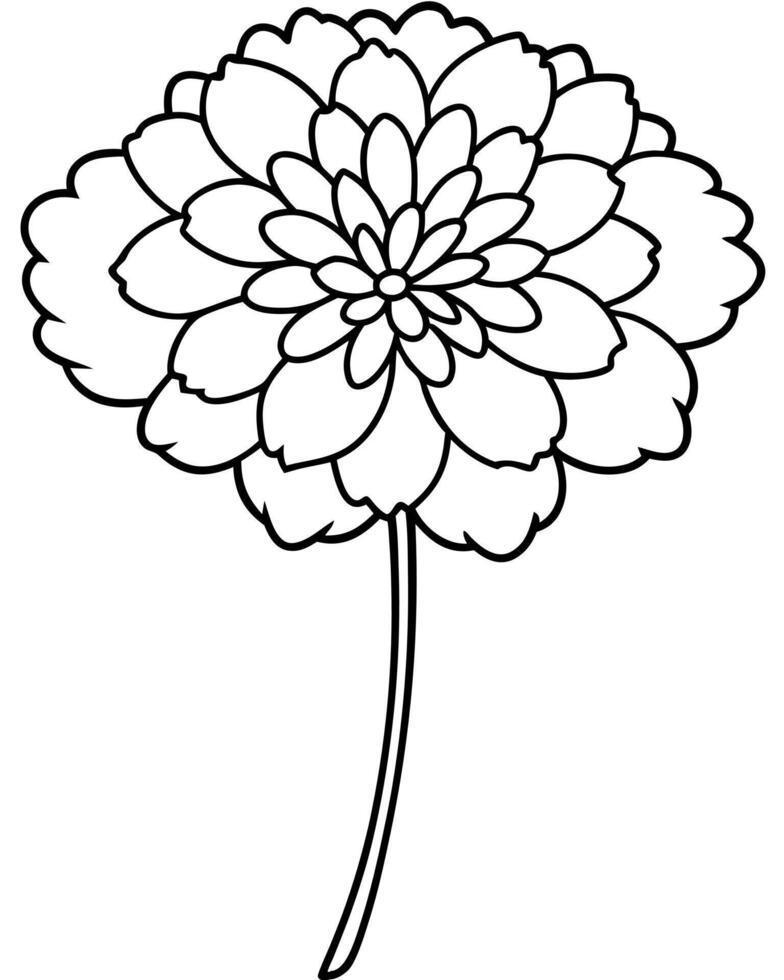 a coloring page of an scabiosa with no color just black lines