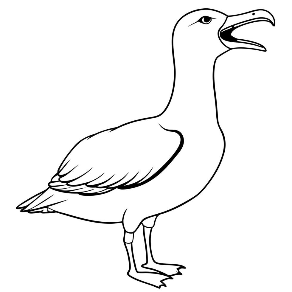 a albatross bird roar full length line art, illustration line art vector