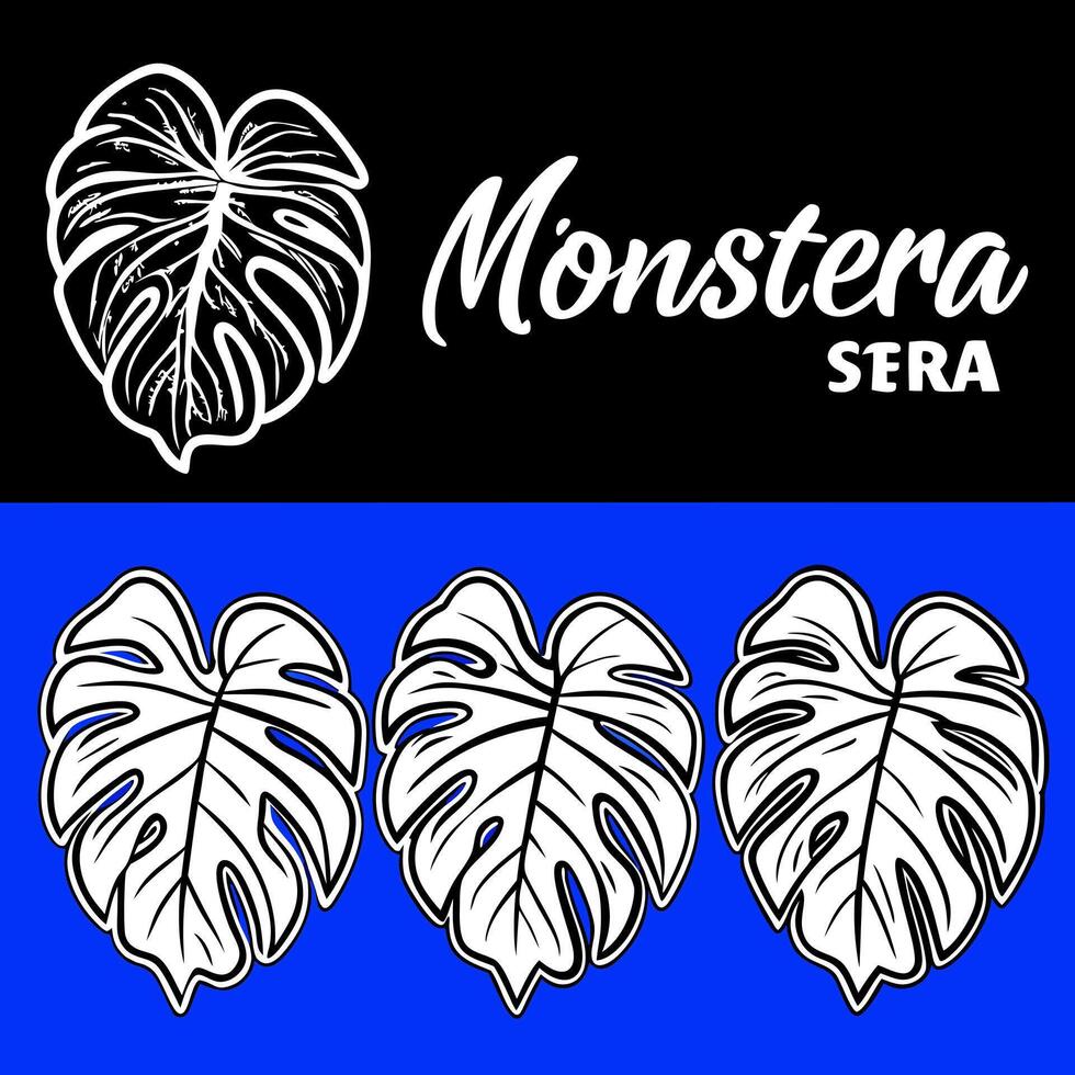 a drawing of a monstera leaf with a white outline, on a dark blue background the leaf is in vector