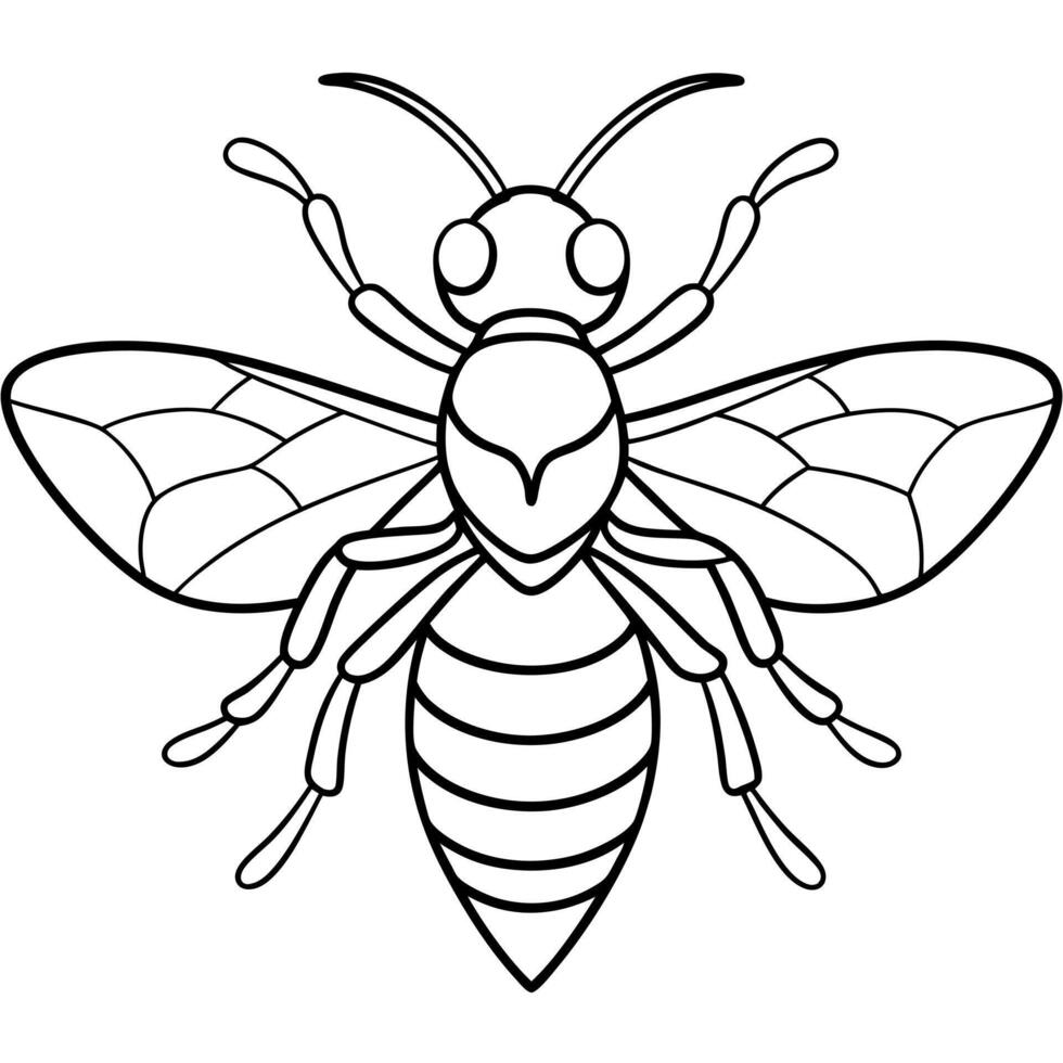a coloring page of an hornet with no color just black lines, illustration line art vector