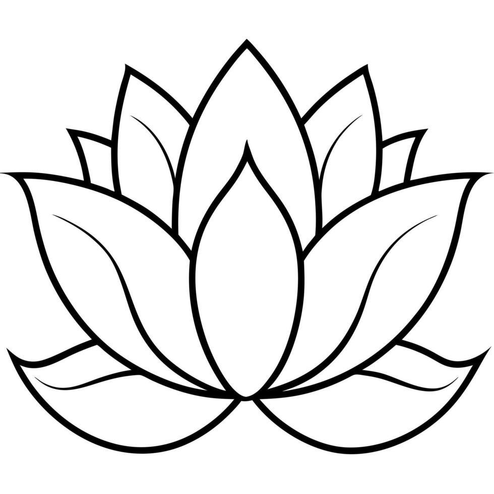 lotus, illustration line art vector