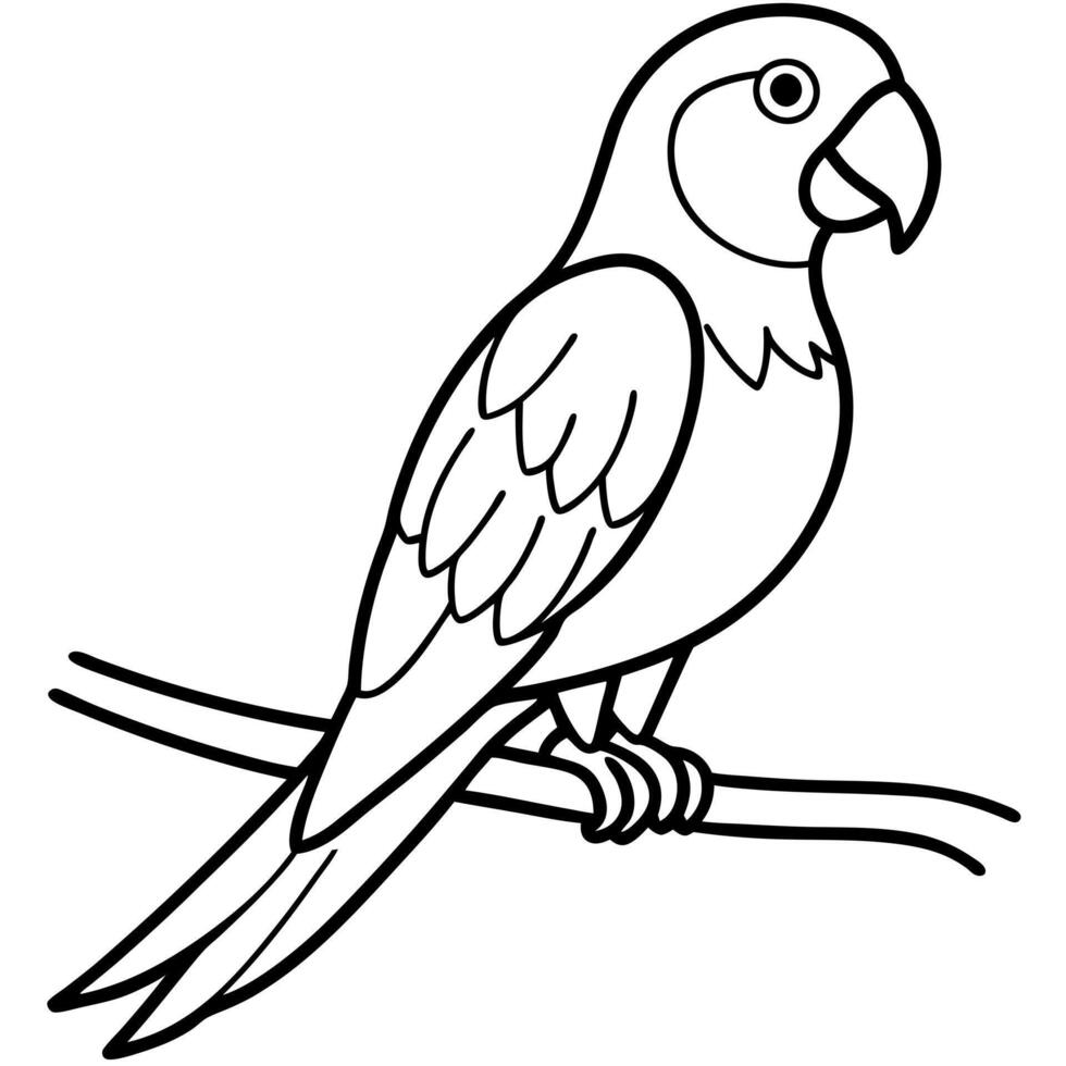 un loro sobre una rama, illustration line art vector