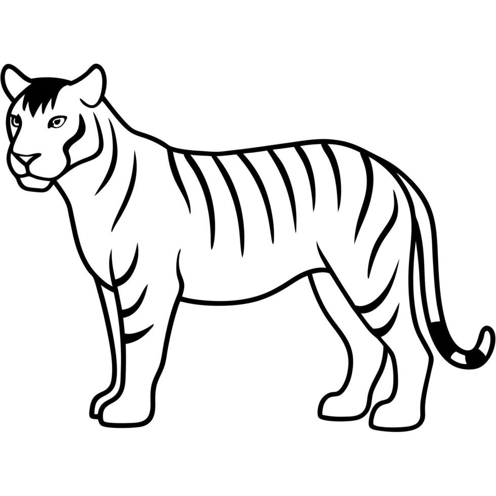 a tiger sihouette with white background, illustration line art vector