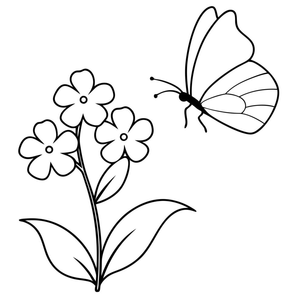 a butterfly is extracting nectar from a creeping phlox flower, illustration line art vector