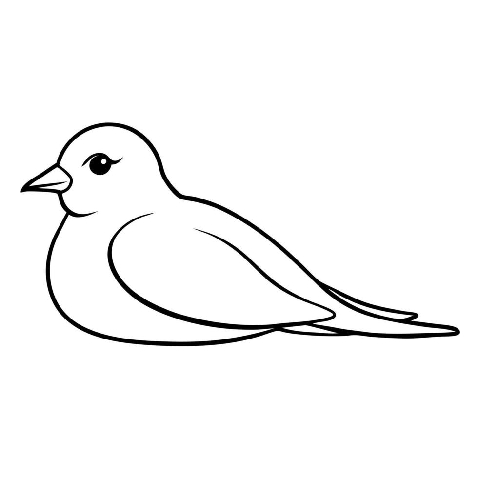 a lark bird is lying down, illustration line art vector