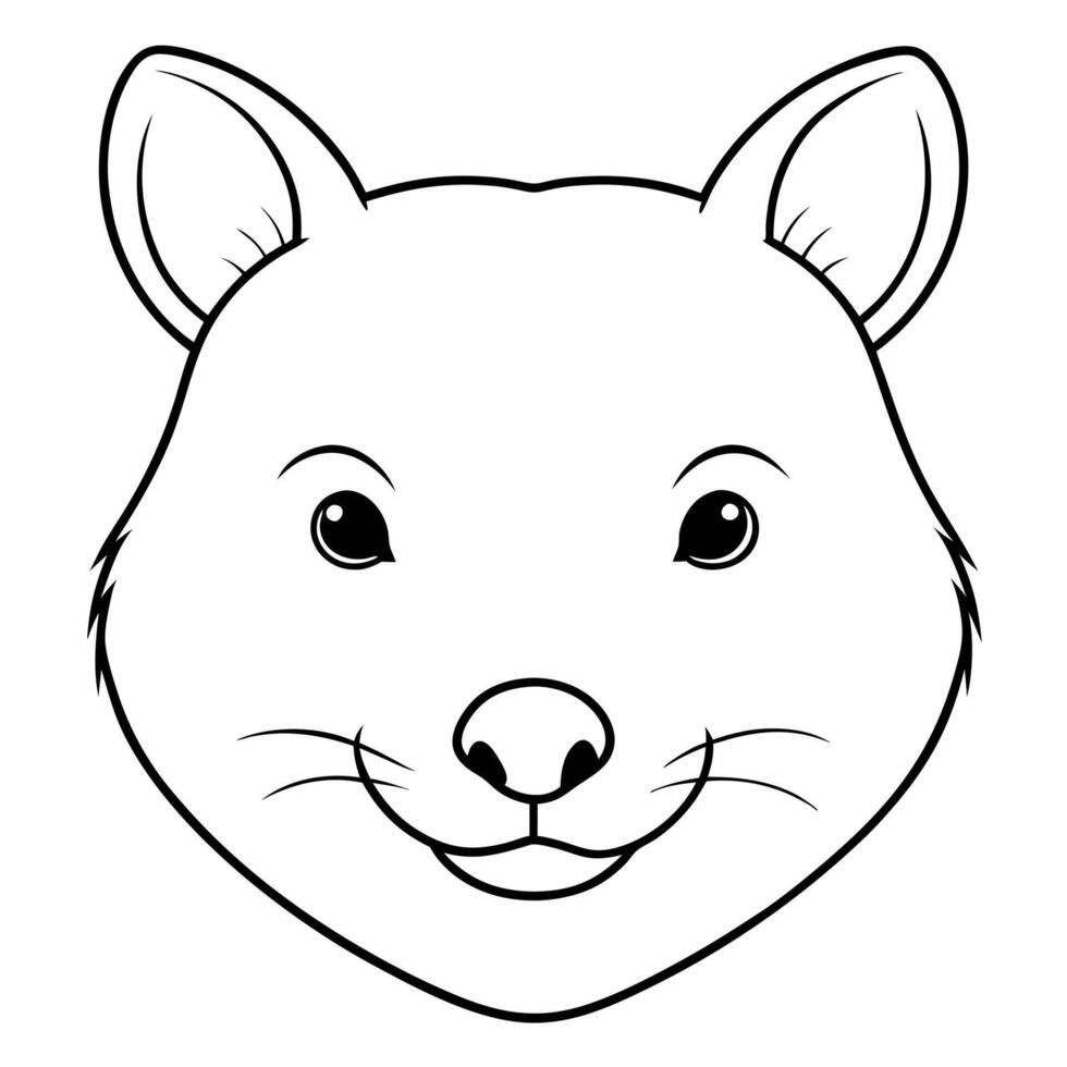 a quokka head with white background, illustration line art vector