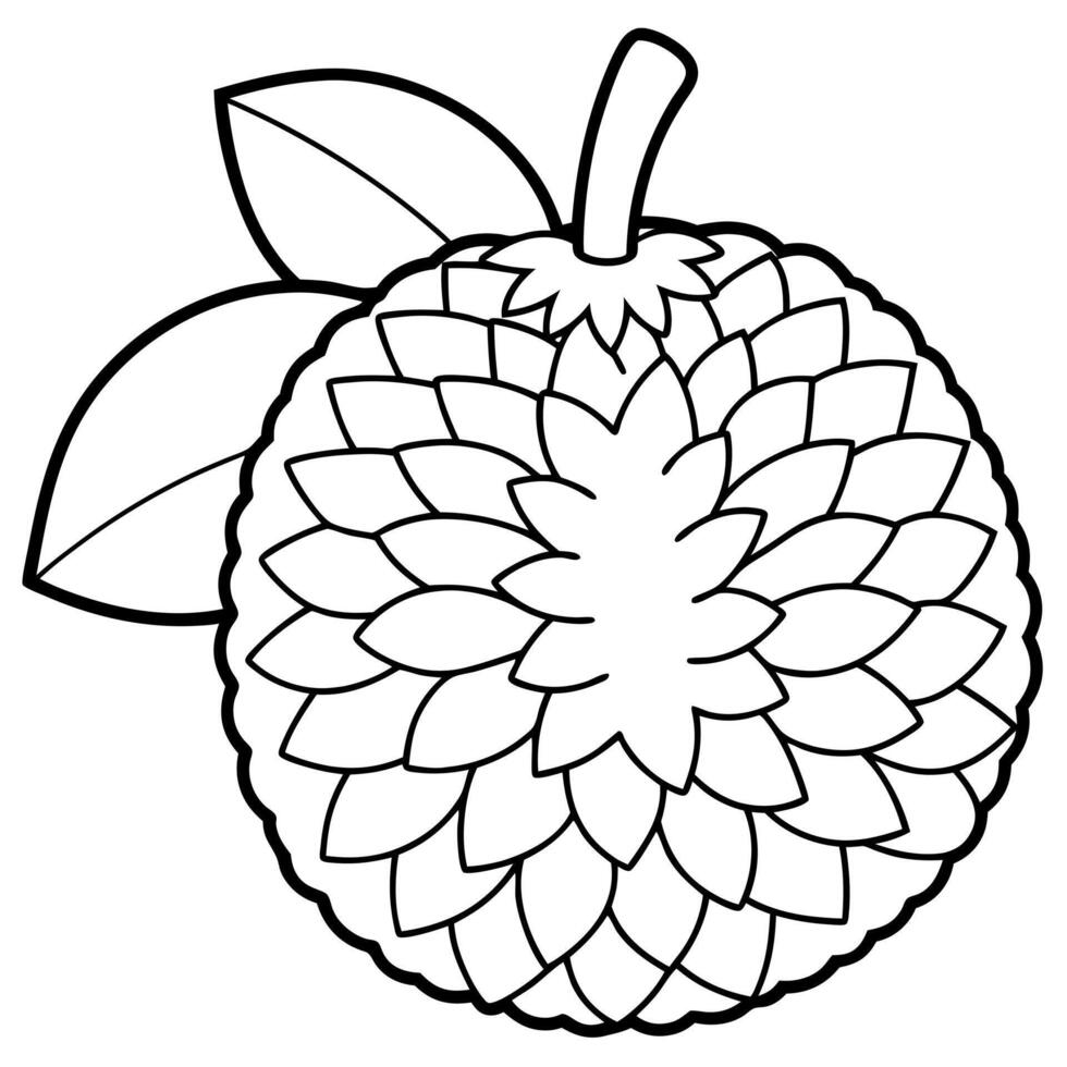 a coloring page of an jackfruit with no color just black lines, illustration line art vector