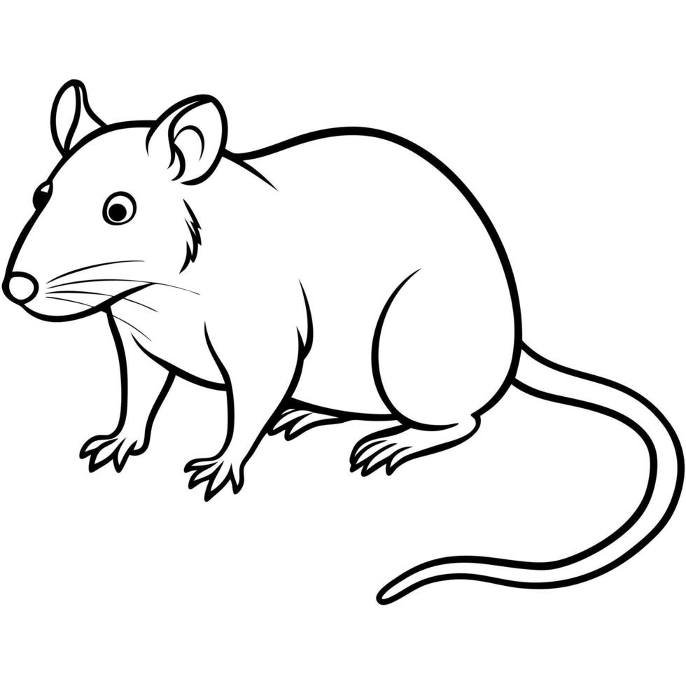 a rat, illustration line art vector