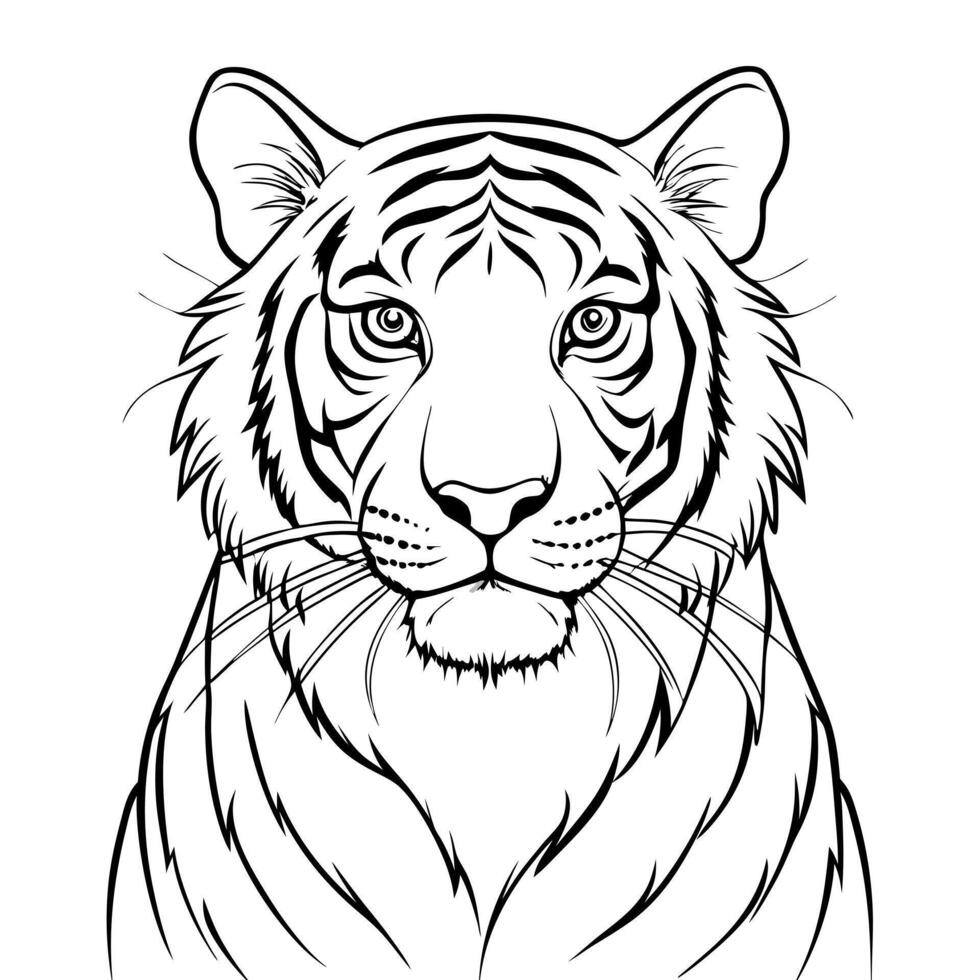 tiger, illustration line art vector