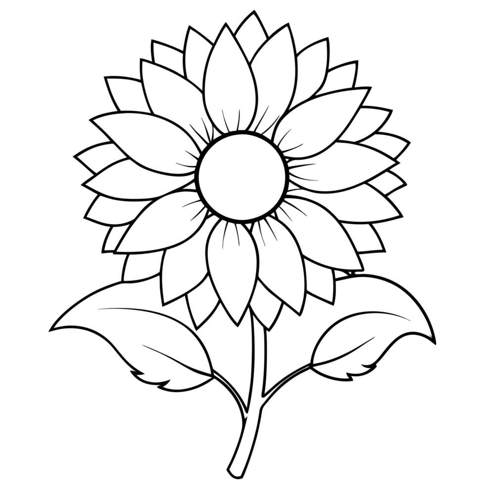 sunflower line art black illustration on white background, illustration line art vector