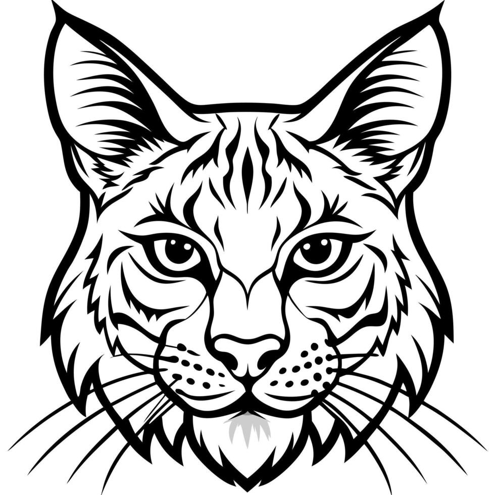 bobcat design, withe outline , black background, illustration line art vector