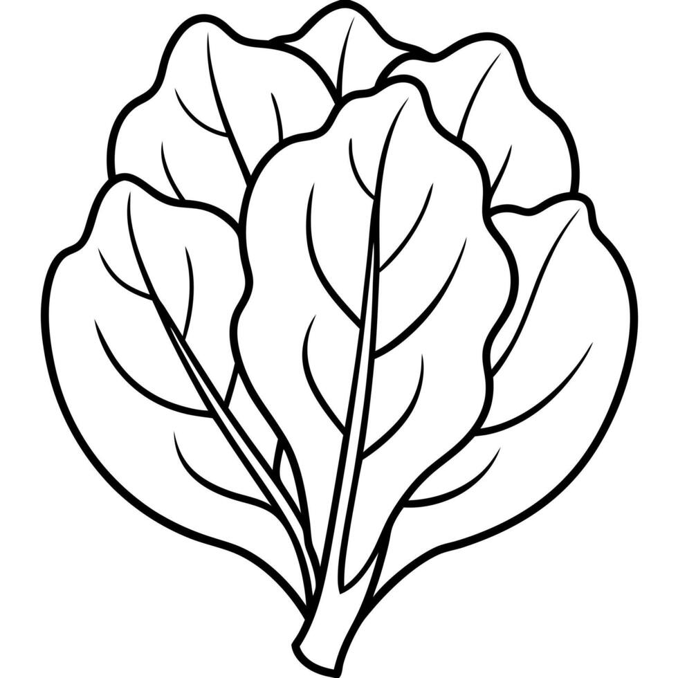 a coloring page of an food spinach with no color just black lines, illustration line art vector