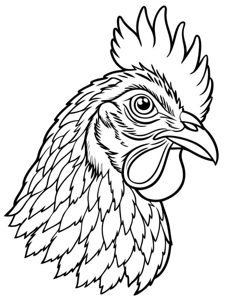 head of chicken, illustration line art vector