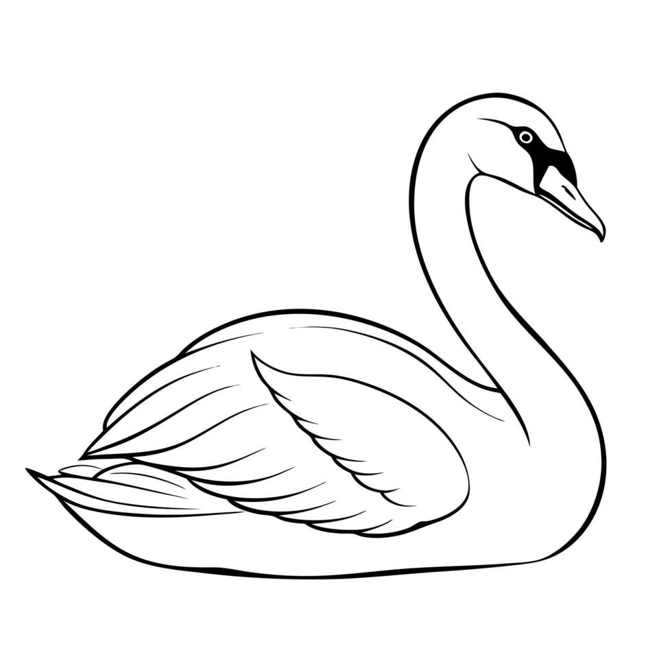 a swan bird is seating, illustration line art vector