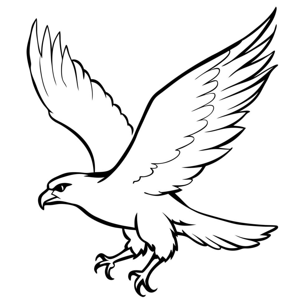 falcon bird jumping, illustration line art vector