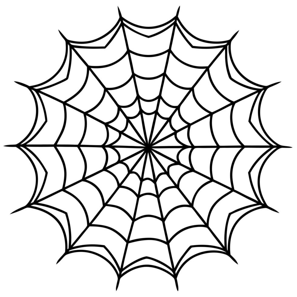 the silhouette of a spider web, illustration line art vector