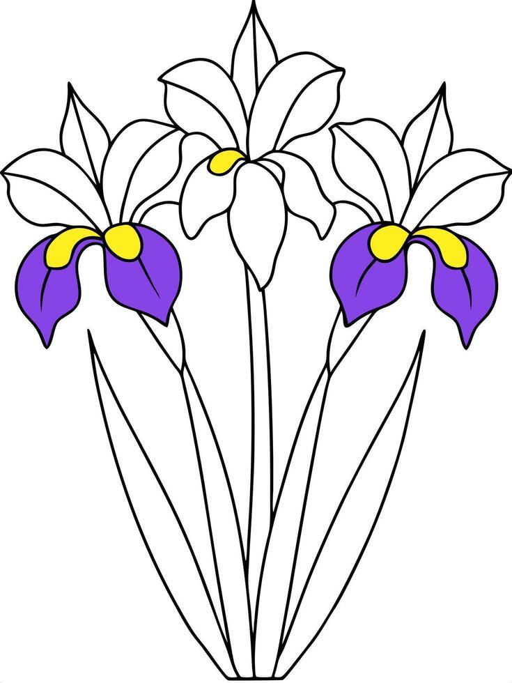 irises have three large petals and come in many colors, from purple and blue to white and yellow vector