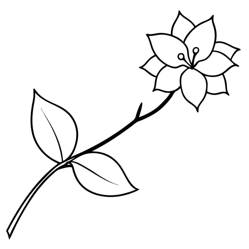 jasmine flower long branch, illustration line art vector